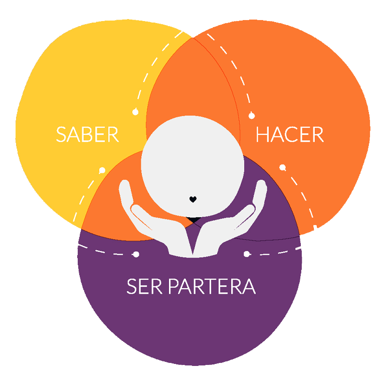 COMPETENCIAS PARA EL EJERCICIO PROFESIONAL DE LA PARTER&Iacute;A