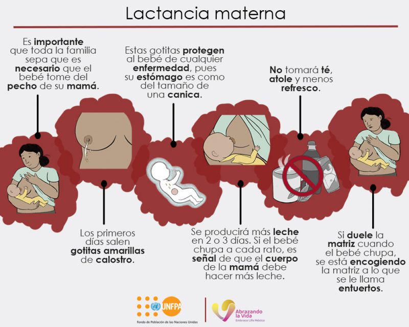 Lactancia materna