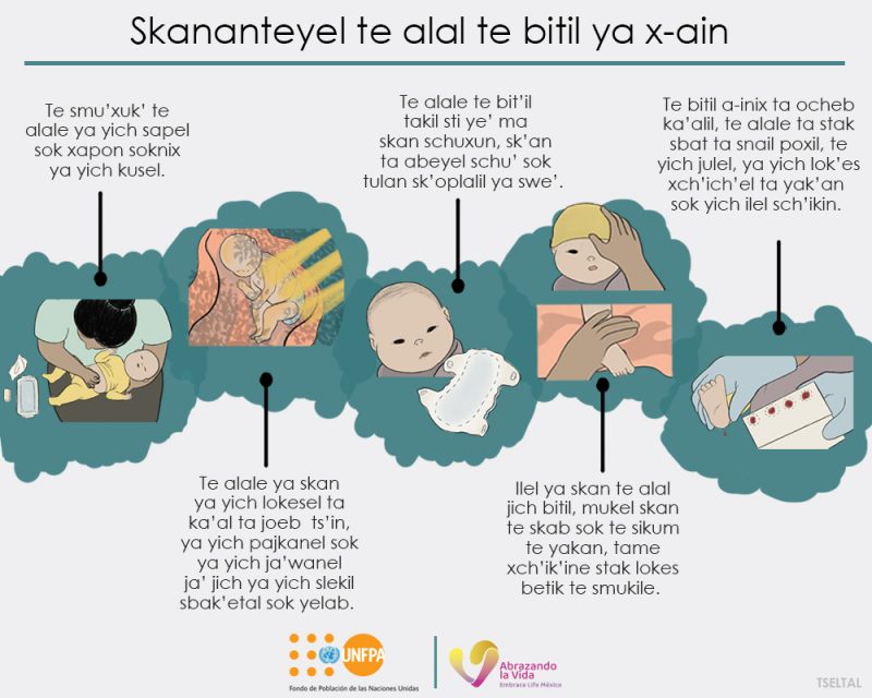 Skananteyel te alal te bitil ya x-ain