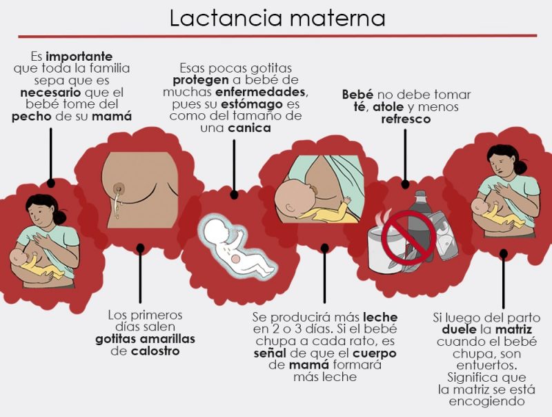 Lactancia materna